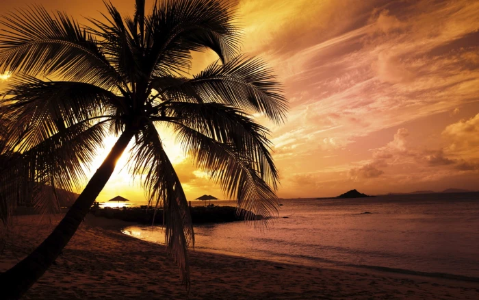 Nature Landscape Beach Sea Palm Tree Sunset Holidays Blue Sky Island