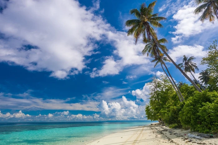 nature landscape photography tropical beach Eden white 2k