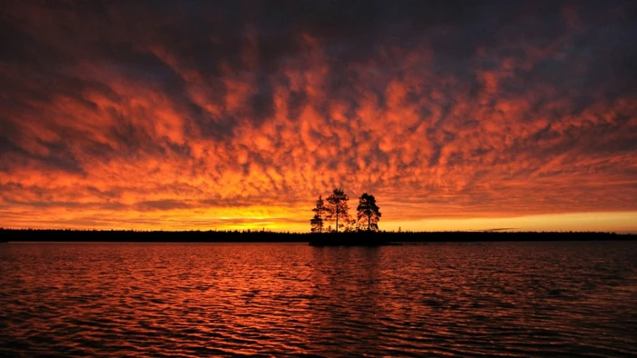 nature sun sunset sunrise star sky silhouette celestial body 2k