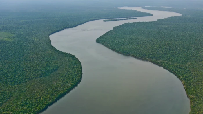 Nile river Amazon forest nature landscape tropical 2k