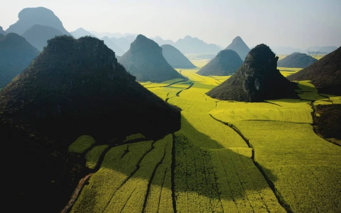 photography nature landscape rice paddy field mountains 2k