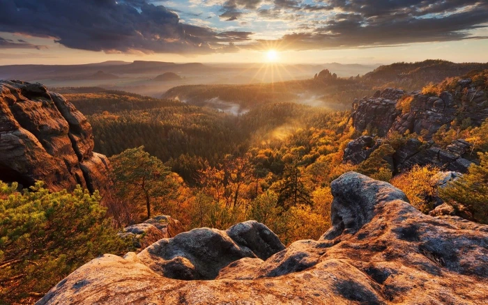 rock formations and brown leafed trees nature landscape sunlight