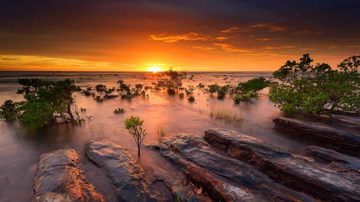 sky water shore beach australia horizon sunset evening 2k