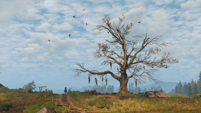 The Witcher 3 Wild Hunt Roach Geralt of Riva 2k