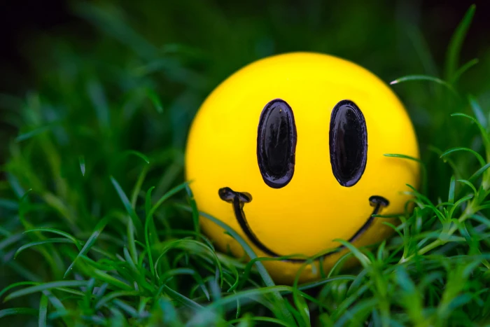 yellow emoji ball grass macro smile smiley plant close up 2k