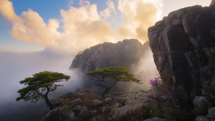 fog sky mountain rock mount scenery tree cliff terrain 2k