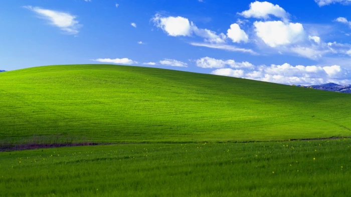 grass bliss Windows XP landscape California green color 2k