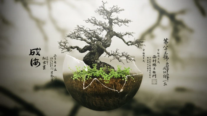 green bonsai tree trees digital art plants nature growth 2k