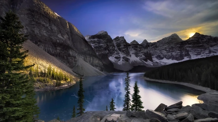 green pine tree nature landscape mountains Canada Alberta 2k