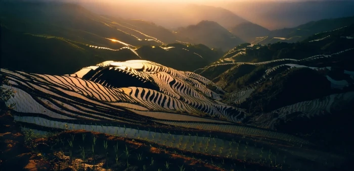 landscape nature field rice paddy mist hills sunlight 2k