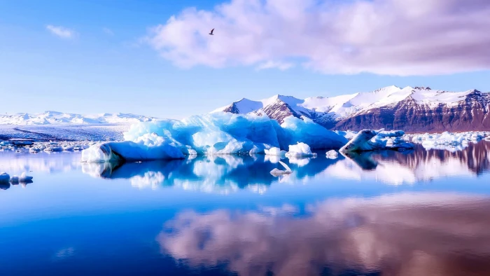 lake vatnajokull national park jokulsarlon glacier morning 2k