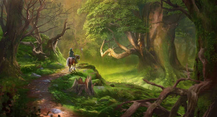 lost woods from The Legend of Zelda Link tree forest nature