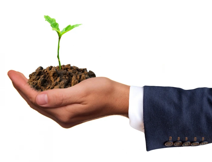 person holding green plant germ seedling live nature earth 2k
