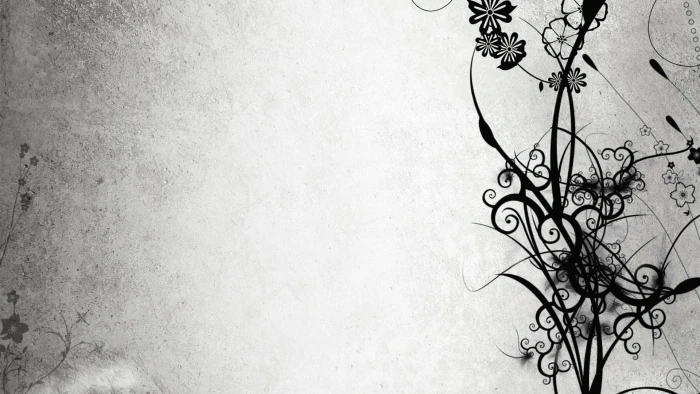 abstract flowers gray patterns floral white background Nature Flowers HD Art 2k