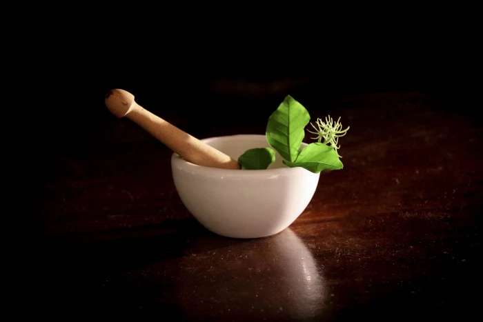 alchemy ancient botany chemical cure drug herbal medicine 2k 4k