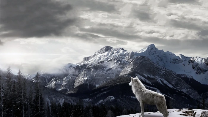 animals mountain snow ice landscape sky mountains glacier 2k