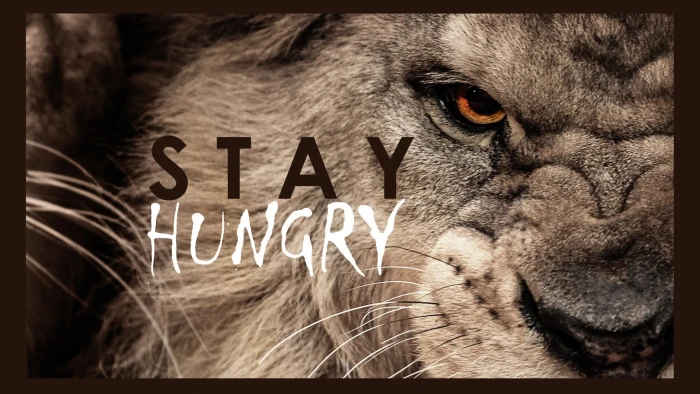 brown lion with text overlay motivational typography animals 2k