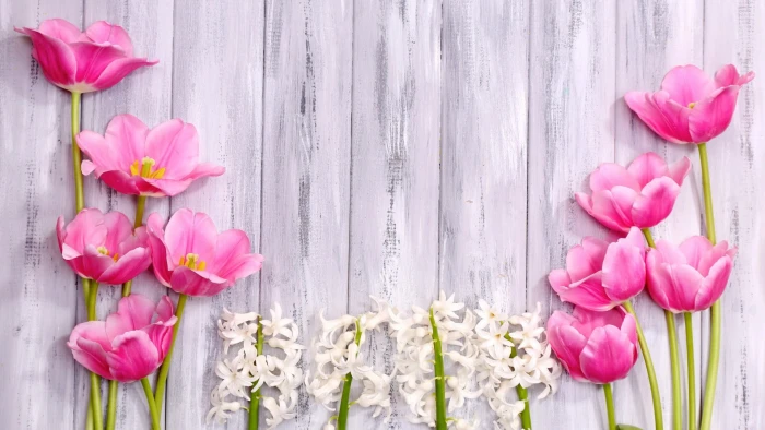 flower bouquet tulip spring pink plant petal floral 2k