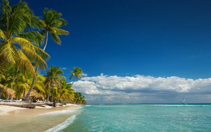 Landscape Nature Island Beach Palm Trees Sea Summer Tropical Vacations 2k