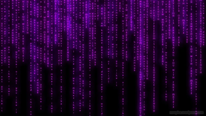 matrix background purple backgrounds technology full frame 2k