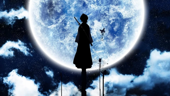 silhoutte of a person digital art Bleach Kuchiki Rukia silhouette 2k