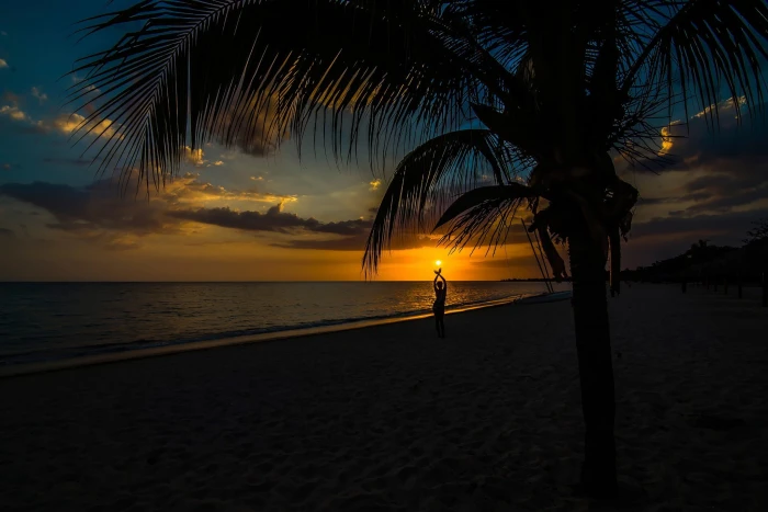 sunset dark palm trees beach sky sea arms up sunlight 2k