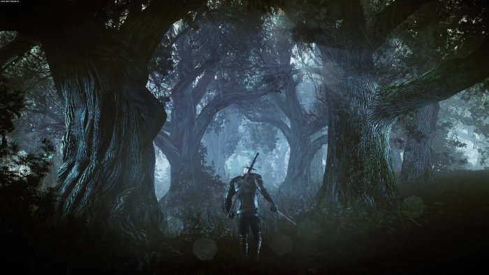 The Witcher 3 Wild Hunt tree one person leisure activity 2k