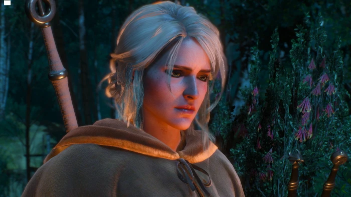 CD Projekt RED Ciri Cirilla Fiona Elen Riannon The Witcher 2k