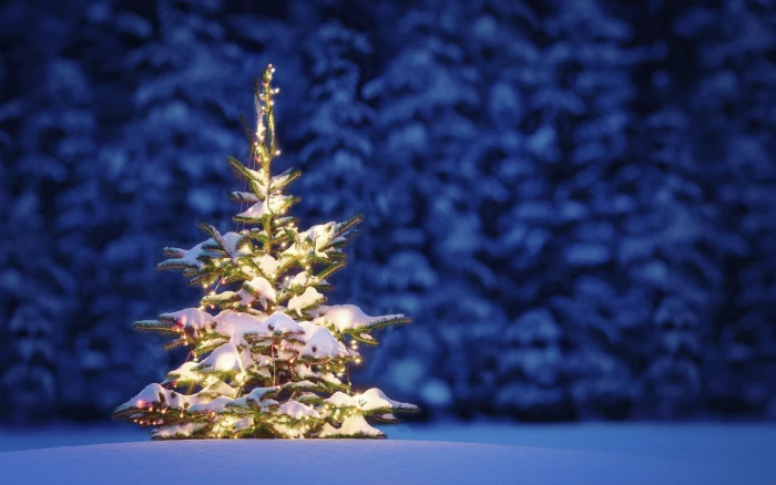 Christmas Tree gold holiday tree new year snow winter night 2k
