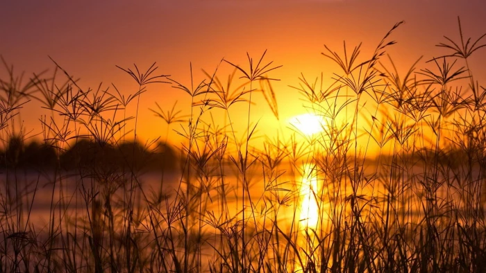 nature sun sunset sunrise sky star silhouette dusk celestial body 2k