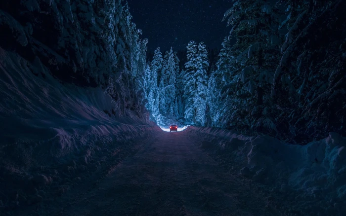 red car on dirt road illustration vehicle running between trees at night 2k
