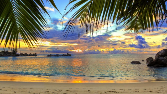 sunrise palms beach sandy shore water sea sky 2k
