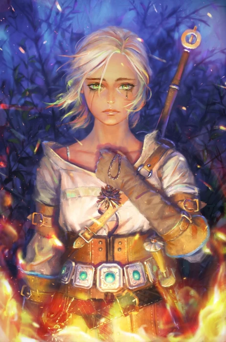 the witcher 3 wild hunt ciri one person front view