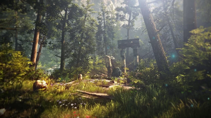 The Witcher video games nature forest 2 Assassins of Kings 2k