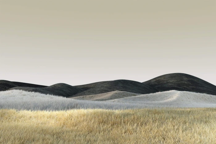 Windows 10 Microsoft nature 2k