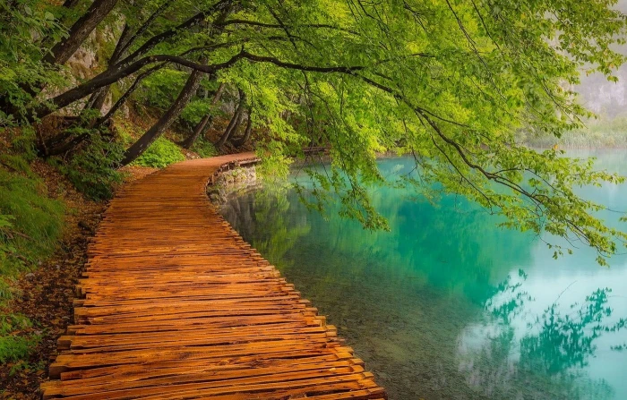 wooden footbridge near body of water landscape photography