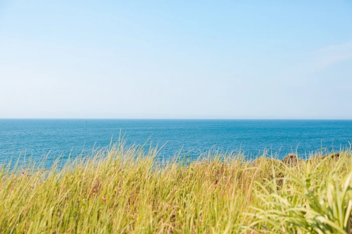 jeju jejudo island sea beach color landscape nature 2k