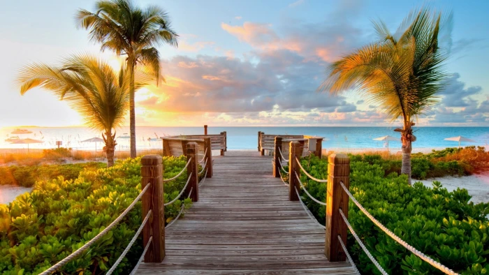 brown wooden sea dock track palm trees beach ocean nature 2k