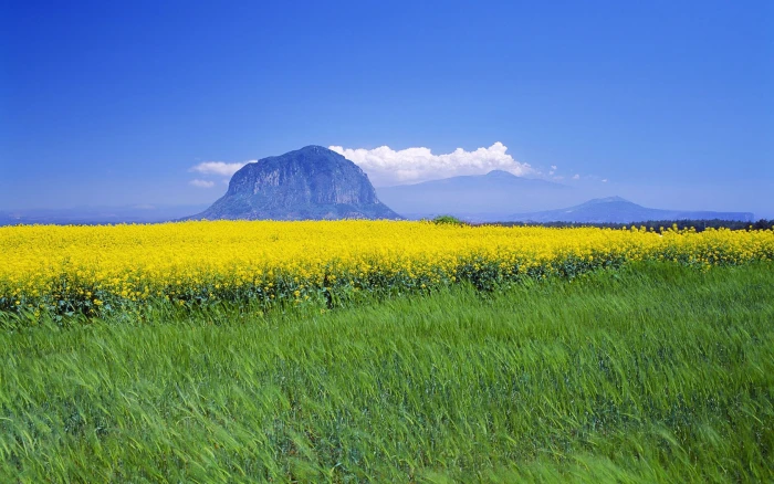fields grass Sanbang Mountain on Jeju Island Korea Nature Mountains HD Art 2k