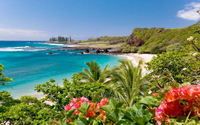 Hamoa Beach Maui Hawaii Wallpaper Widescreen Hd Resolution 2k