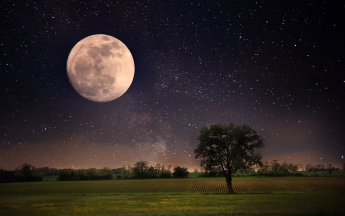 Moon night scene landscape stars full moon sky beautiful 2k