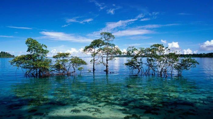 nature Cool background pics 2k