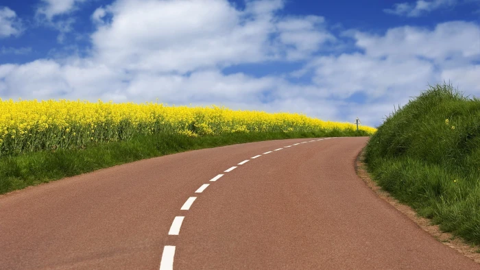 pc hd p nature plant road the way forward 2k