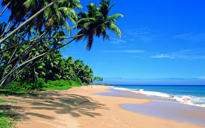 Sri Lanka beach seashore photography palms Ocean 2k