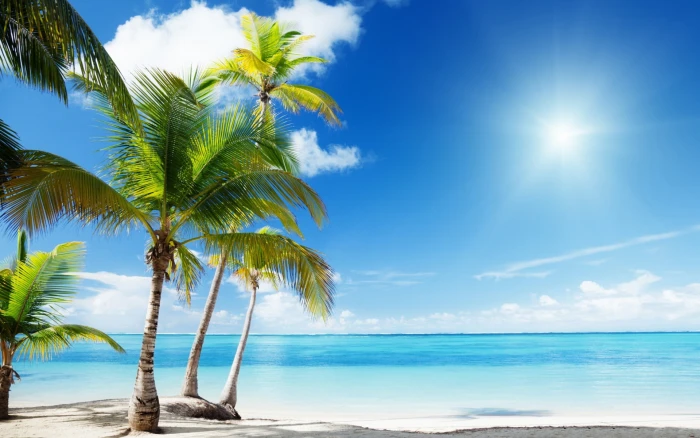 Tropical beach paradise sunshine Summer Scenery HD water tropical climate 2k