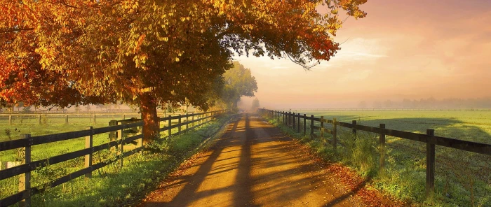 pathway between fence wallpaper nature photography landscape 2k