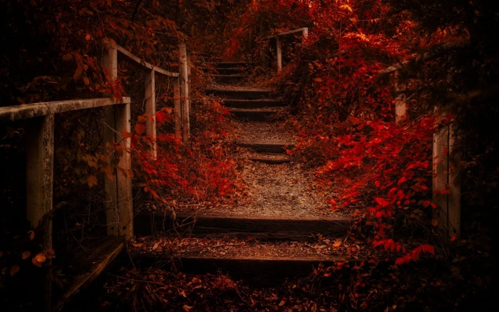 red leaves empty stairs between flowers nature landscape fall 2k