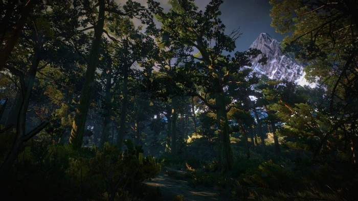 Skellige The Witcher 3 Wild Hunt video games 2k