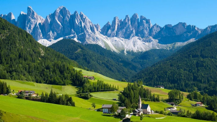 Switzerland A Beauty You Wanna Visit once in a Lifetime plant 2k
