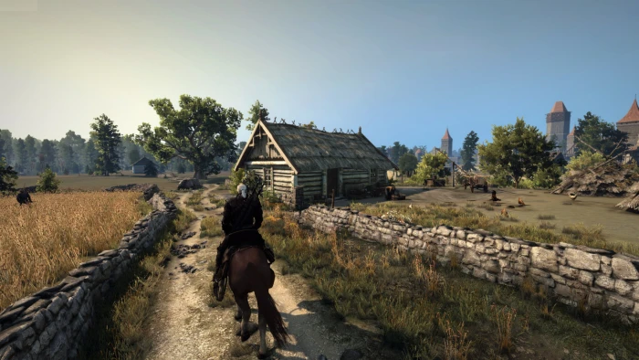 The Witcher 3 Wild Hunt field village outskirts 2k